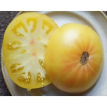 Редкие сорта томатов Гном Мистер Сью